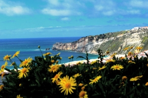 Em contacto com a Natureza Nazaré Praia da Nazaré