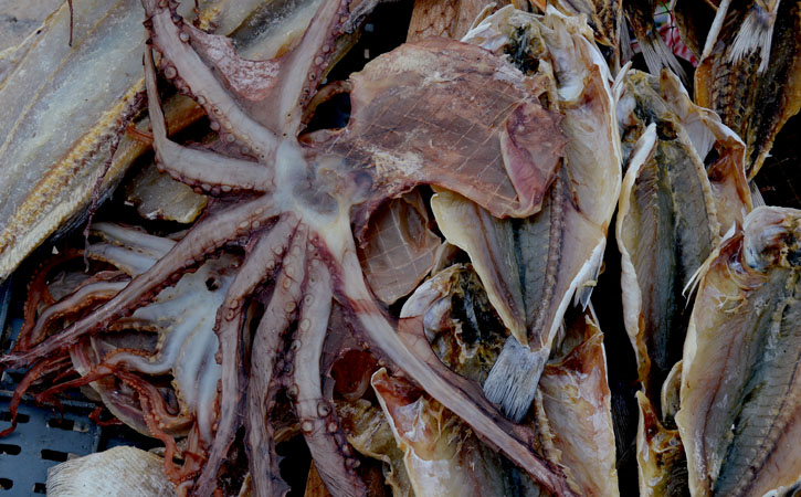 O Peixe Seco da Nazaré, Nazaré